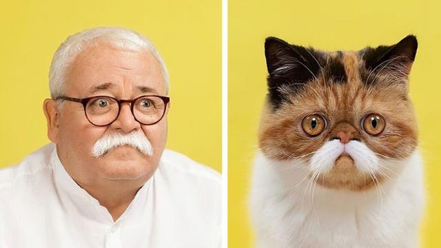 Mirip Banget, 8 Potret Hewan Peliharaan dan Pemiliknya Bak Pinang Dibelah Dua