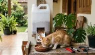 Cara Membuat Tempat Pakan Kucing dari Jerigen Bekas, Mudah dan Ramah Lingkungan
