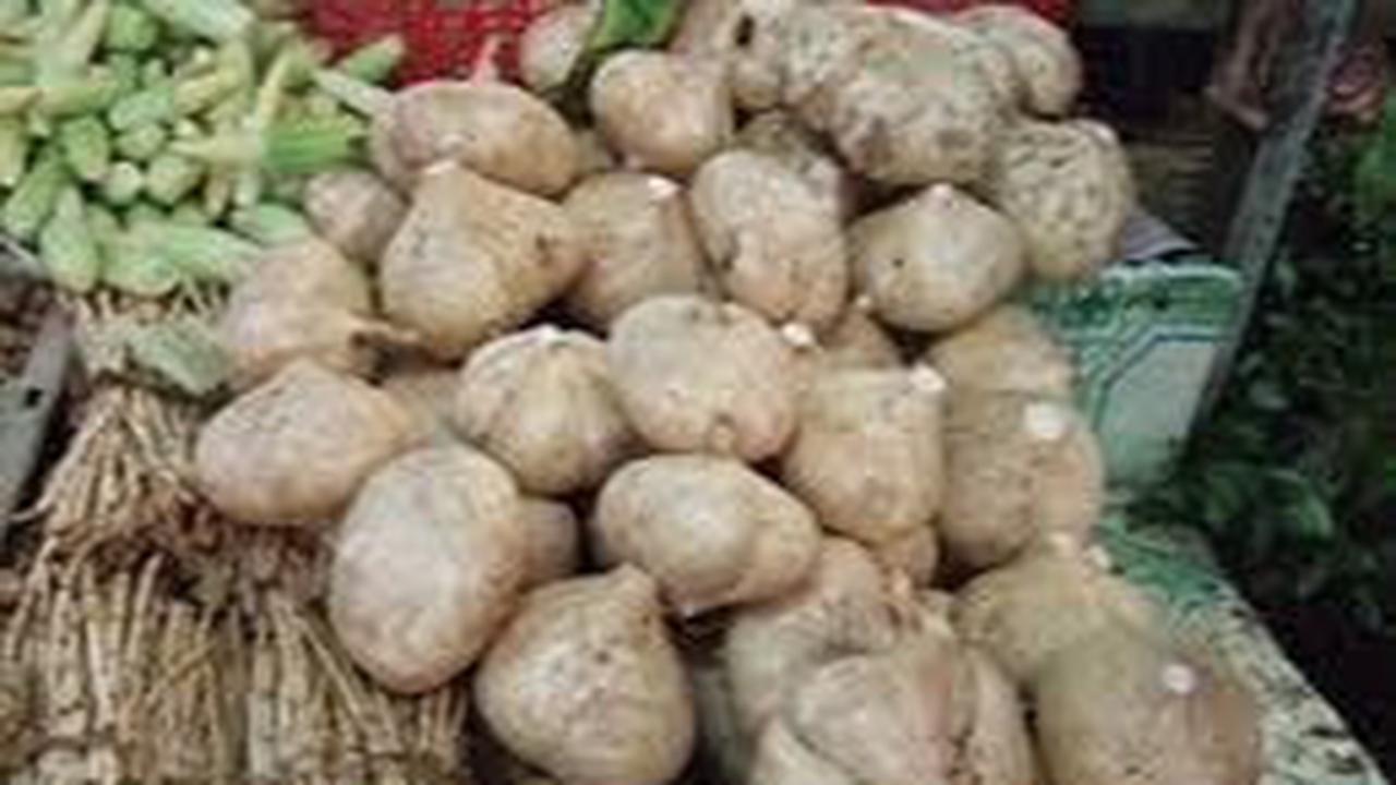 Manfaat Bengkoang untuk Kesehatan Lainnya