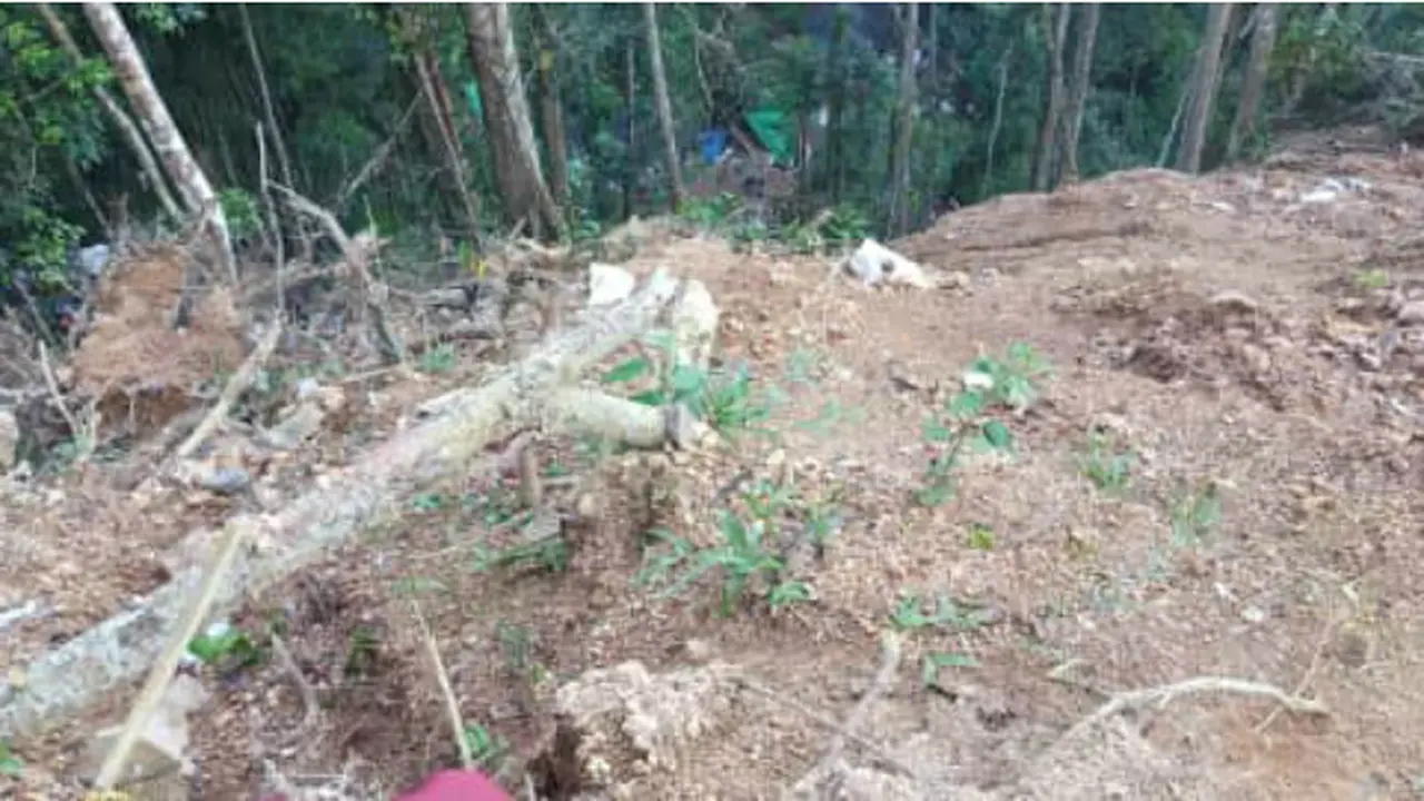 Bupati Bolaang Mongondow Sebut Penutupan Tambang Kewenangan Pemprov Sulut