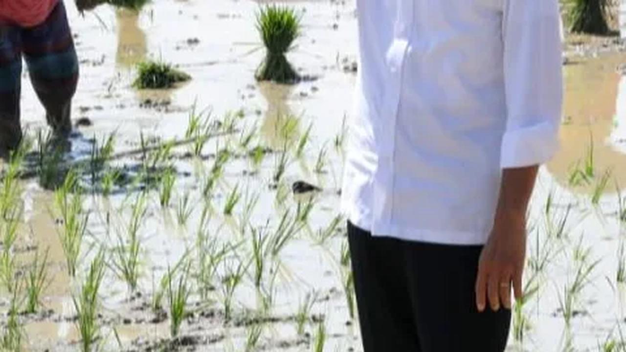 Reaksi Jokowi Soal Agus Rahardjo Dilaporkan ke Bareskrim Usai Bilang Intevensi Kasus e-KTP
