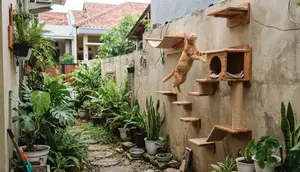 9 Cara Membuat Sudut Bermain Kucing di Pekarangan Rumah yang Sempit, Tetap Nyaman