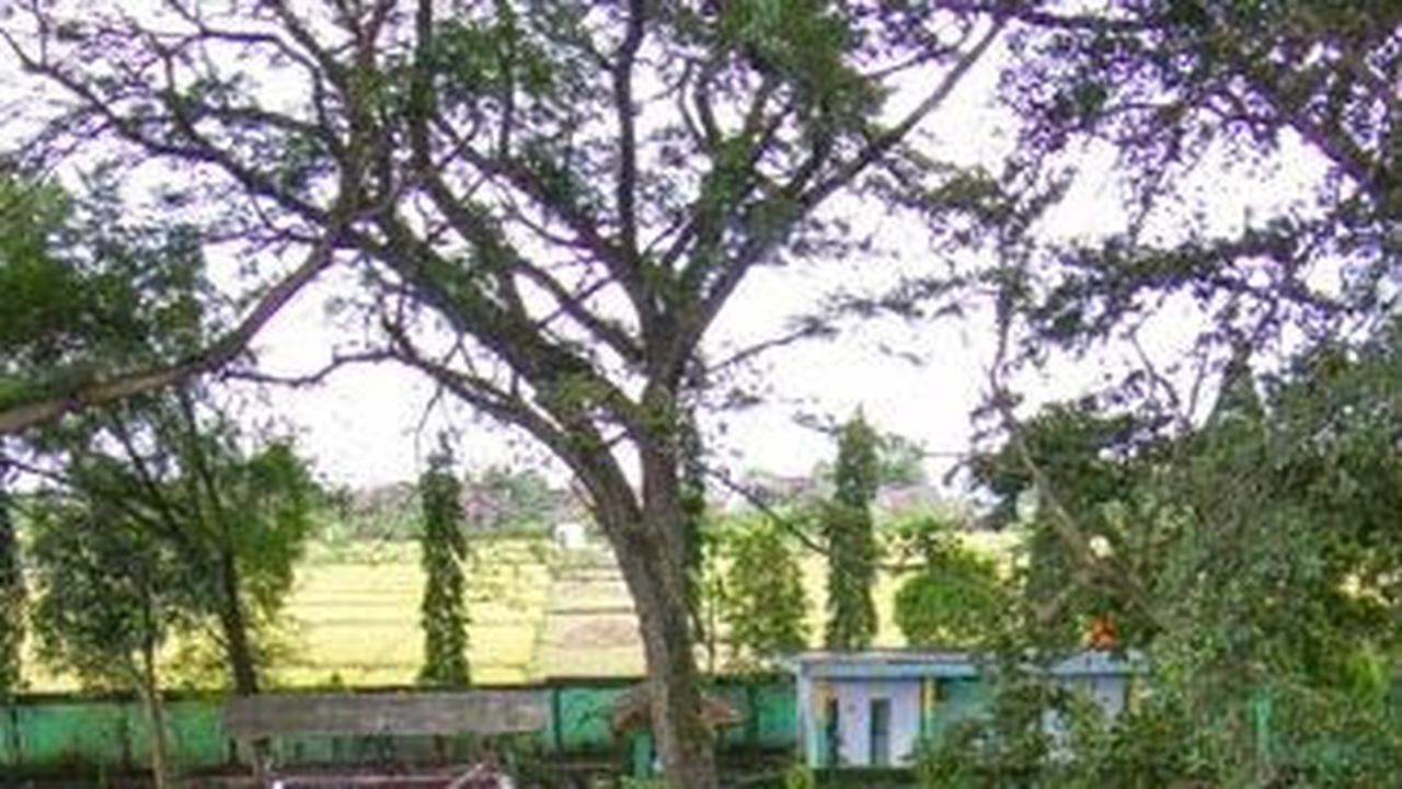 <b>Tempat Wisata Ponorogo Tema Rekreasi Keluarga</b>