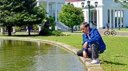Presiden Jokowi memandangi salah satu kolam di depan kompleks Istana Bogor, Minggu, (2/1). Saat melepaskan kodok di salah satu kolam, Presiden Jokowi secara kebetulan mendapati seekor biawak yang terjebak dalam kotak saringan air. (Setpres-Agus Suparto)