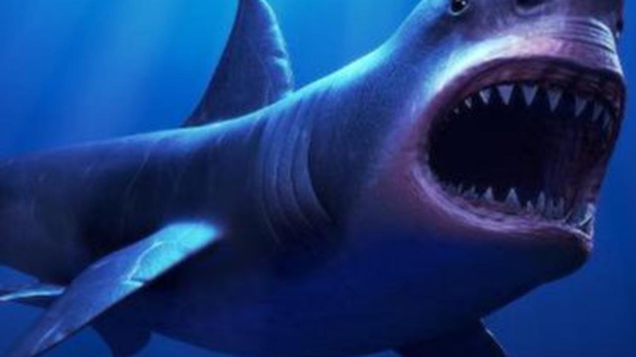 Megalodon, Hiu Raksasa Ternyata Masih Hidup