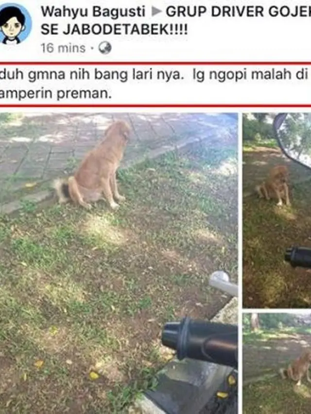 Lucu tapi Kasihan, 6 Curhat Lucu Driver Ojek OnlineTakut Anjing