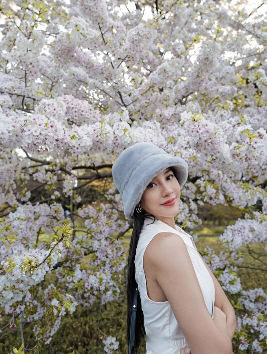 Bagi yang menyukai bunga, tentu seru banget nih bisa menyaksikan bunga sakura yang baru saja bermekaran setelah melewati musim dingin. Ada banyak sekali warna pada bungan sakura di Jepang tergantung spesiesnya, salah satunya adalah putih. (Liputan6.com/IG/@anyageraldine)