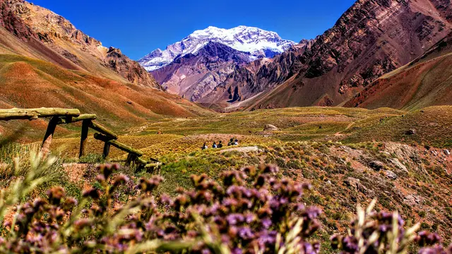 Mendoza