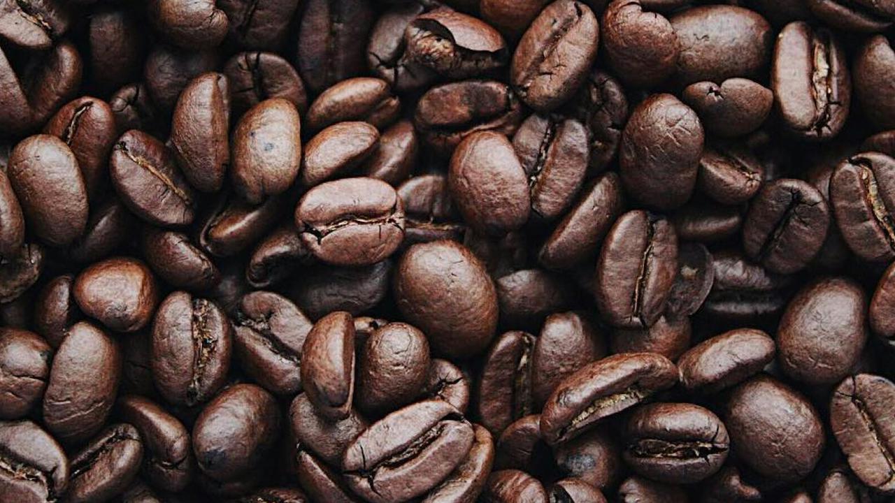 Dunia Akui Keunikan Biji Kopi Asal Sumedang Ini