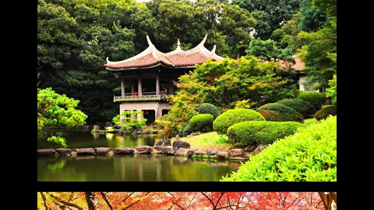 12 Potret Keindahan Shinjuku Gyoen dari Film Makoto Shinkai di Berbagai Musim