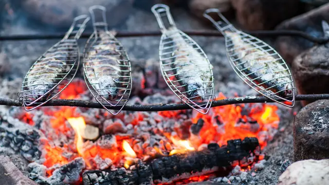 Senyawa Berbahaya pada Makanan yang Dibakar