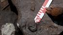 Ukiran-ukiran batu itu muncul dengan latar belakang hutan lebat, dengan air Sungai Negro yang berwarna kecoklatan mengalir di dekatnya. (Michael Dantas / AFP)