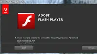 Menyusul Mozilla, kini Google pun telah memblokir plugin Adobe Flash dari browser Chrome.