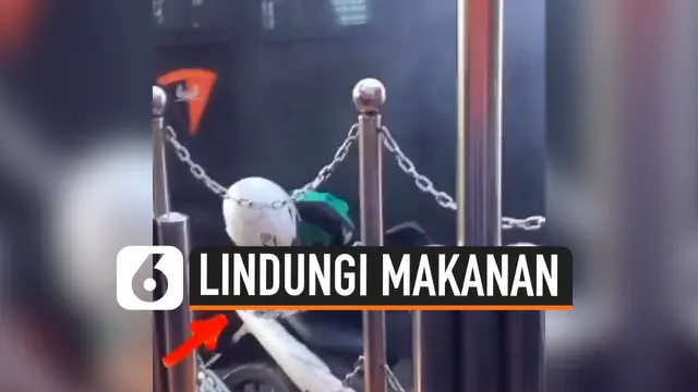 LINDUNGI MAKANAN