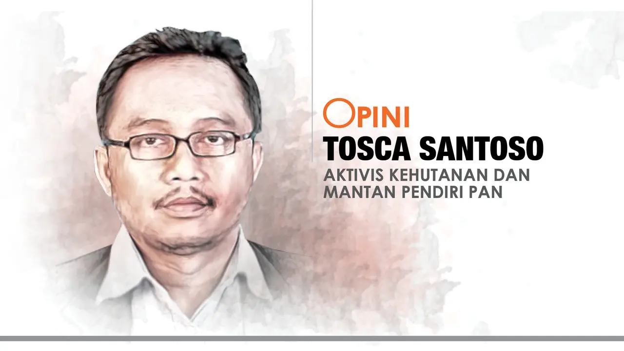 Opini Tosca Santoso