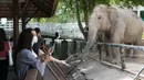 Pengunjung memotret seekor gajah di Khao Kheow Open Zoo, Provinsi Chonburi, Thailand, Selasa (16/6/2020. Enam kebun binatang di Thailand akan kembali dibuka bagi pengunjung secara gratis mulai 15 hingga 30 Juni. (Xinhua/Zhang Keren)