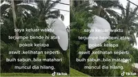 Sebuah video viral memperlihatkan benda putih misterius menempel di pohon palem, bentuknya seperti awan yang jatuh. (Sumber: TikTok/@ramlahidris72)