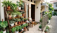 7 Konsep Teras Rumah Sempit Tapi Punya Kebun Mini dengan Rak Bertingkat