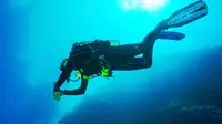 Turis AS yang Hilang Usai Diving di Pulau Reong Ditemukan Tewas dalam Perut Hiu
