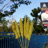 Telur gulung. (Sumber Foto: isma_mha/Instagram)