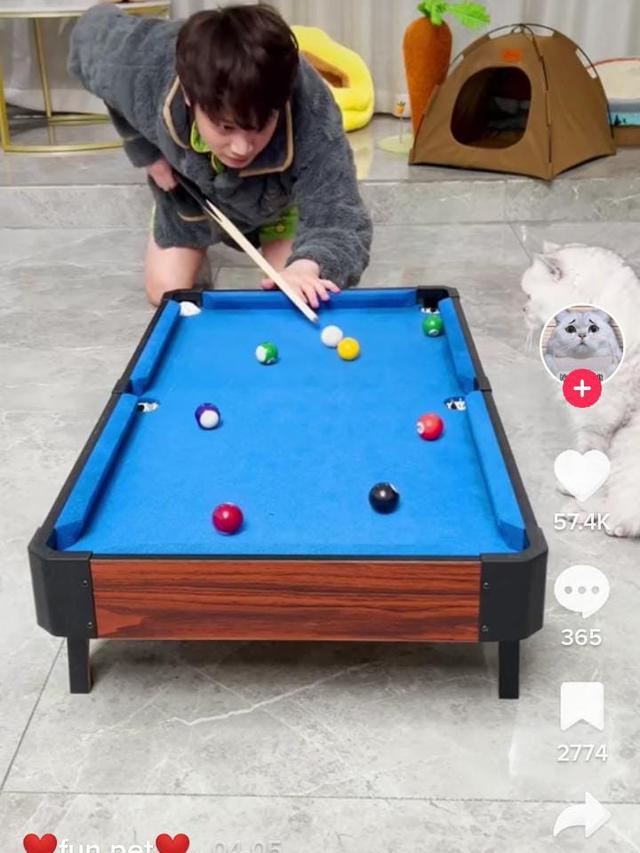 Potret Aksi Kucing Ikut Olahraga Bak Atlet Netizen: Lulusan Konoha Emang Mantap