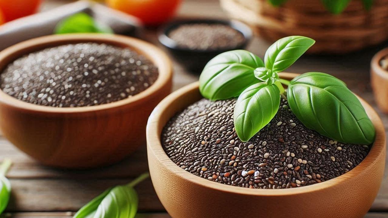 Ilustrasi Chia Seed