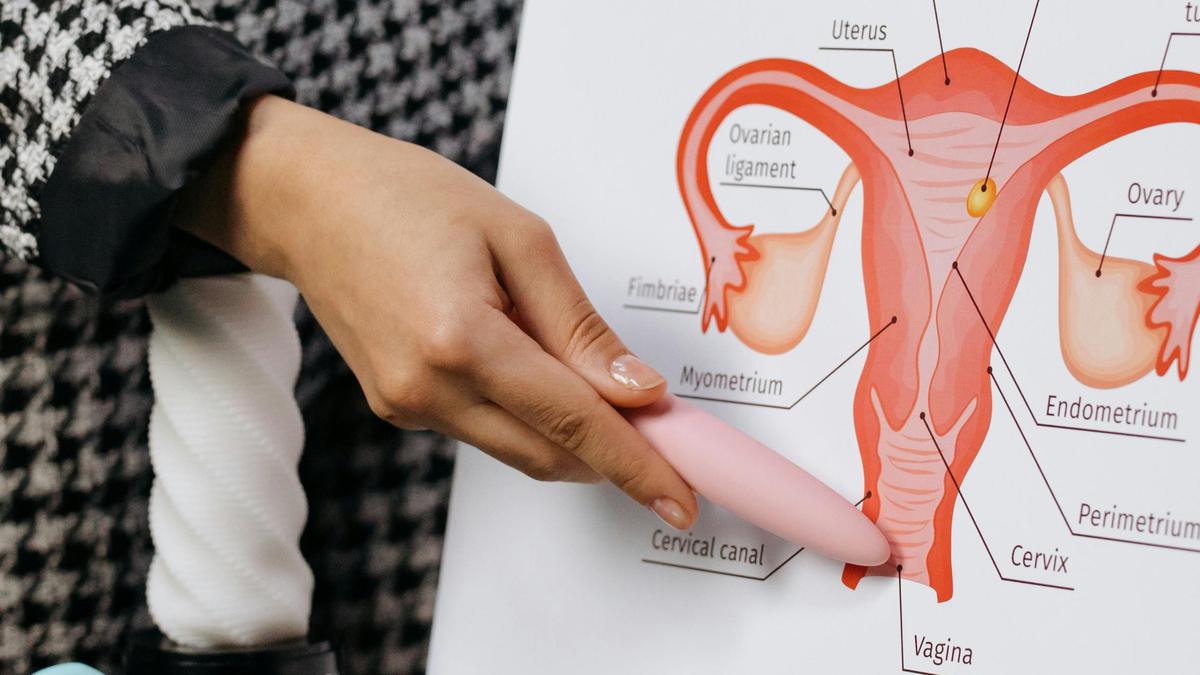 Penemuan Mikroplastik di Sistem Reproduksi Manusia Picu Kekhawatiran Gangguan Kesuburan
