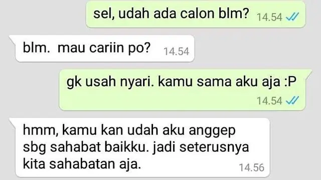 Chat Kocak Terjebak Friedzone