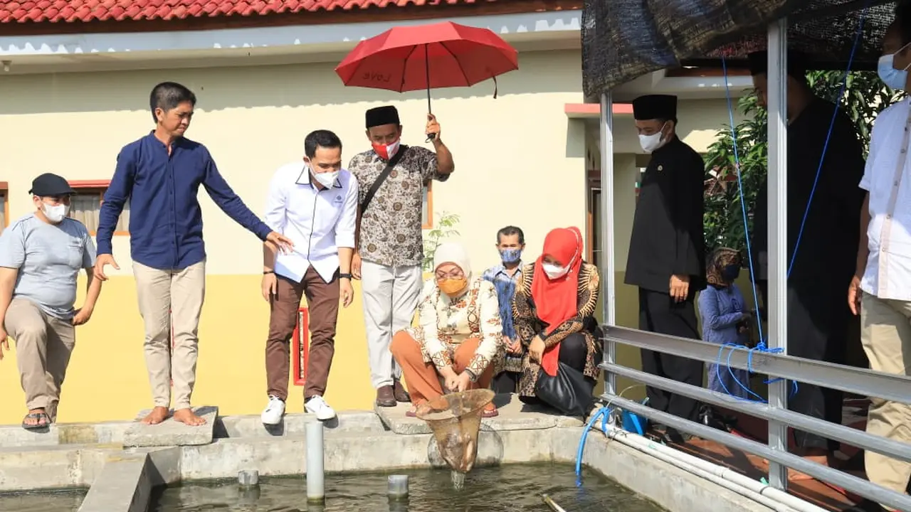 Menaker Ida Bahagia Program Bantuan Budidaya Ikan Nila dan Lobster Buka Lapangan Kerja