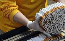 Curhat Pengusaha Rokok Jika Cukai Naik Tinggi: Industri Gulung Tikar & Berdampak ke Tenaga Kerja