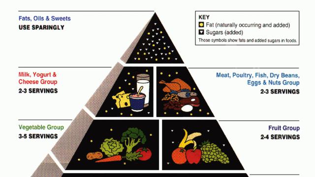 Piramida Makanan