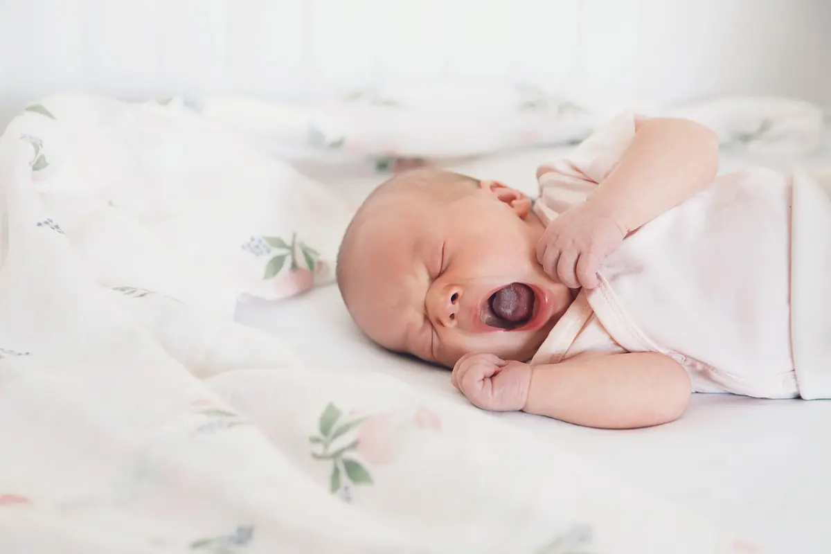 Lidah bayi (iStock)