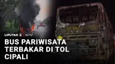 Sebuah bus pariwisata terbakar di Tol Cipali pada Minggu sore. Penyebab kebakaran diduga akibat korsleting listrik pada bagian mesin bus.