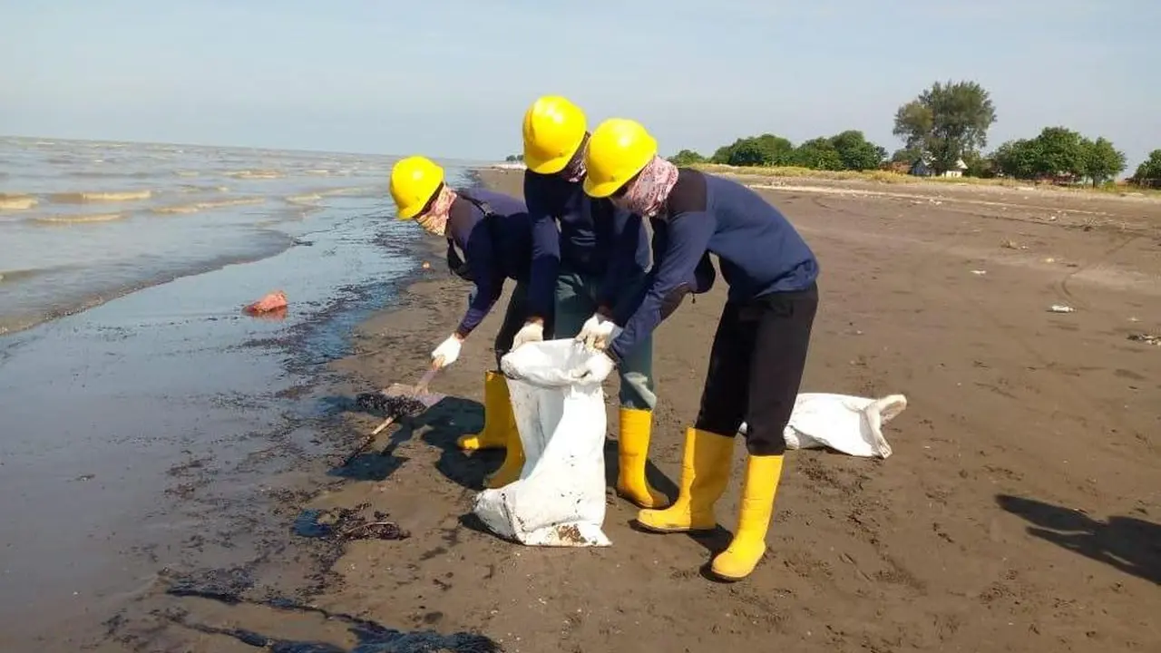 Pasca kejadian tumpahan minyak di area pantai Karawang, Tim PHE ONWJ terus bersinergi dengan berbagai pihak untuk membersihkan sisa ceceran minyak. (Dok Pertamina)