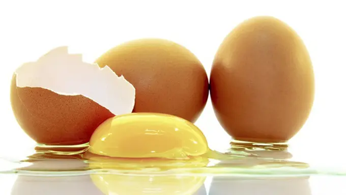 Foto: copyright shutterstock.com