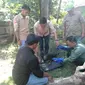 Petugas BKSDA Jawa Barat menerima penyerahan satwa liar Elang Ular Bido yang ditemukan warga di hutan kawasan Majalengka. Foto (Liputan6.com / Panji Prayitno)