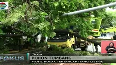 Hujan deras disertai badai di jawasan Menteng, Jakarta Pusat mengakibatkan pohon tumbang hingga merusak mobil mewah.