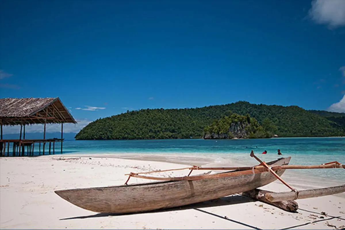 Berburu Laor, Pengalaman Tak Terlupakan di Halmahera Utara