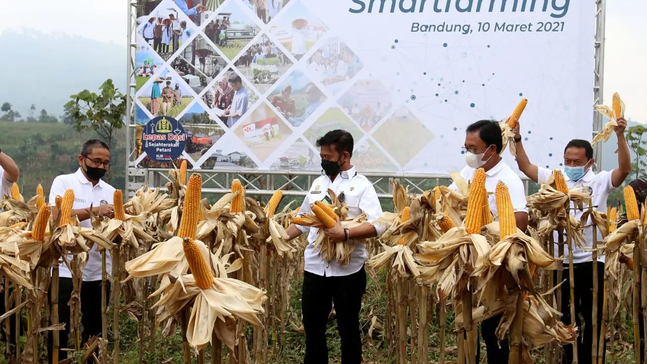 Millenial Smartfarming