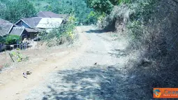 Kondisi Jalan Desa Ciemas Memprihatinkan