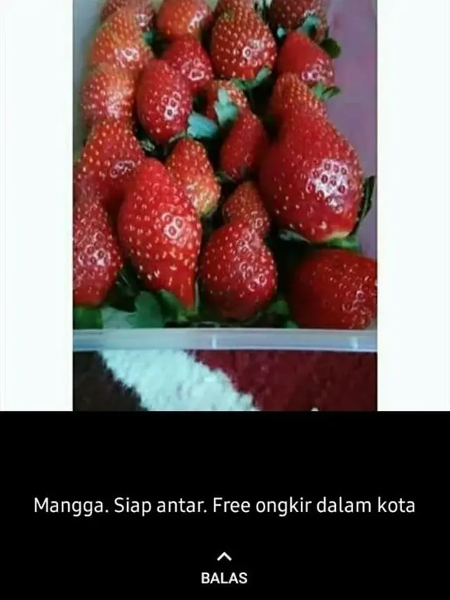 6 Status Penjual Tawarkan Dagangan di WhatsApp Ini Bikin Geleng Kepala