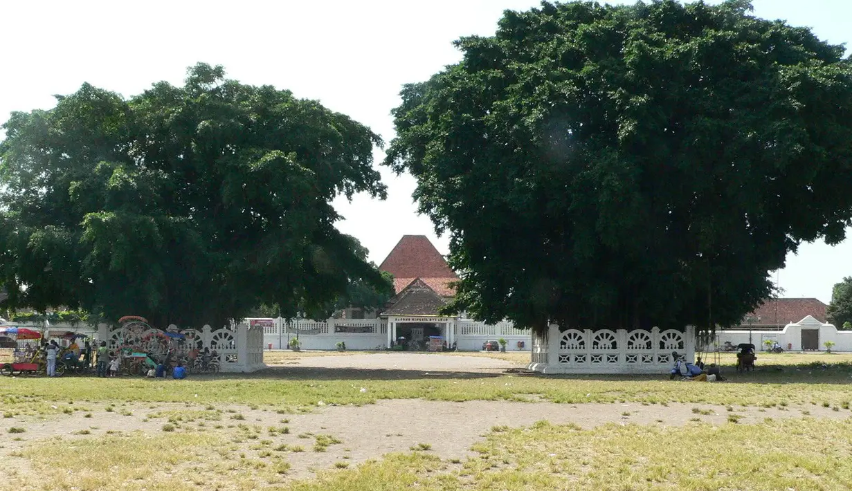 Berdasarkan mitos yang beredar di masyarakat, merujuk pada tradisi masangin itu, orang yang berhasil melewati beringin kembar dengan mata tertutup berarti hatinya bersih dan lapang (istimewa)