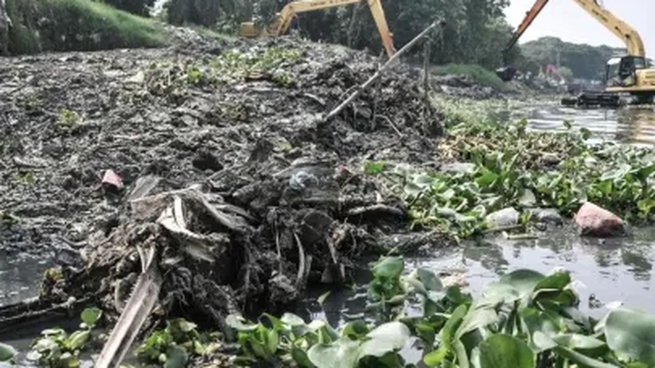 Terlebih pada saat beberapa hari yang lalu. Eceng gondok sempat memenuhi sebagian besar waduk dan menyebabkan aroma tidak sedap.

Meskipun demikian, ia tidak mengetahui secara jelas mengapa tanaman eceng gondok sering kali bertumbuhan di tepi-tepi waduk