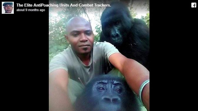gorila bergaya seperti manusia saat selfie (foto: FB The Elite AntiPoaching Units and Combat Trackers)