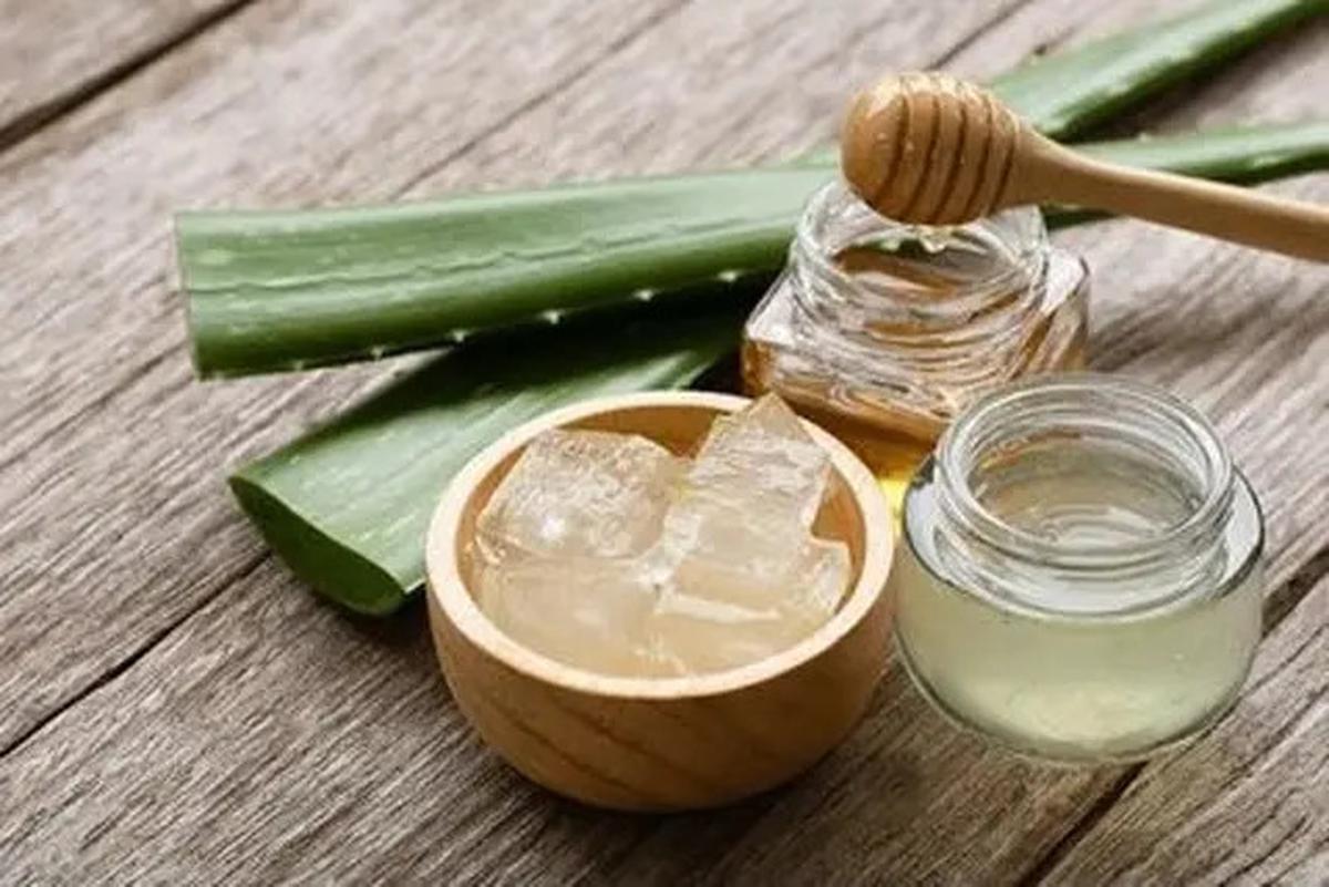 Cara Mudah Membuat Es Lidah Buaya yang Segar dan Menyehatkan