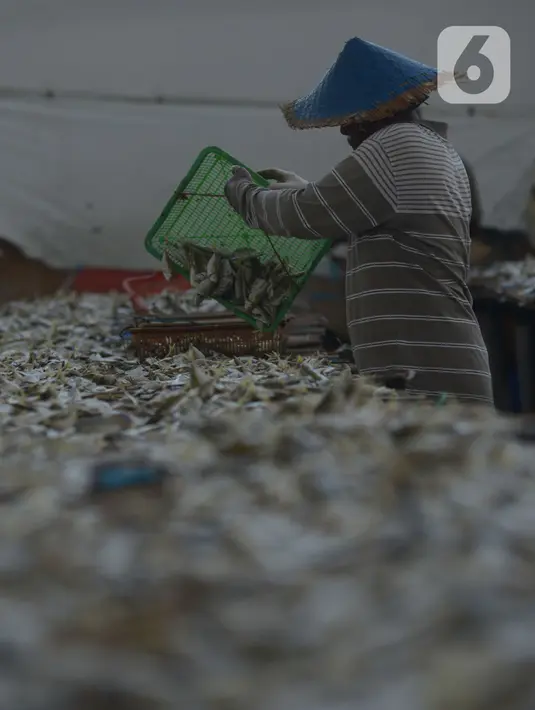 Proses pembuatan ikan asin di Sentra Pengolahan Ikan Asin Kampung Nelayan Muara Angke, Jakarta, Selasa (16/11/2021). Produksi ikan asin mengalami harga stabil saat pandemi Covid-19 di level 1 dengan harga jual kisaran Rp 38 ribu per kilogram meski cuaca kurang baik. (merdeka.com/Imam Buhori)