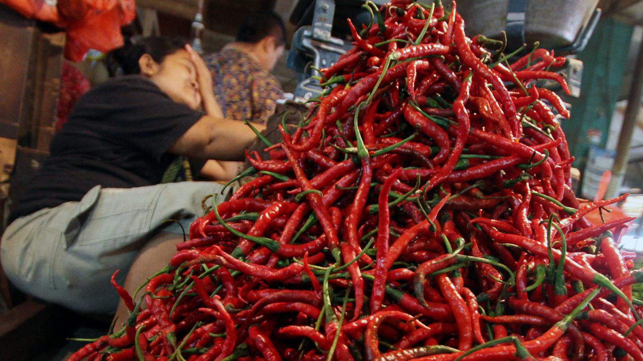 Harga Cabai di Tingkat Petani Anjlok Parah, Hanya Dibeli Rp1.500 per Kilogram