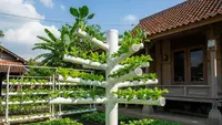 Cara Membuat Tower Garden dari Pipa PVC, Solusi Berkebun di Lahan Sempit