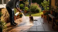 7 Cara Menghilangkan Bau yang Mengundang Kucing Datang ke Teras