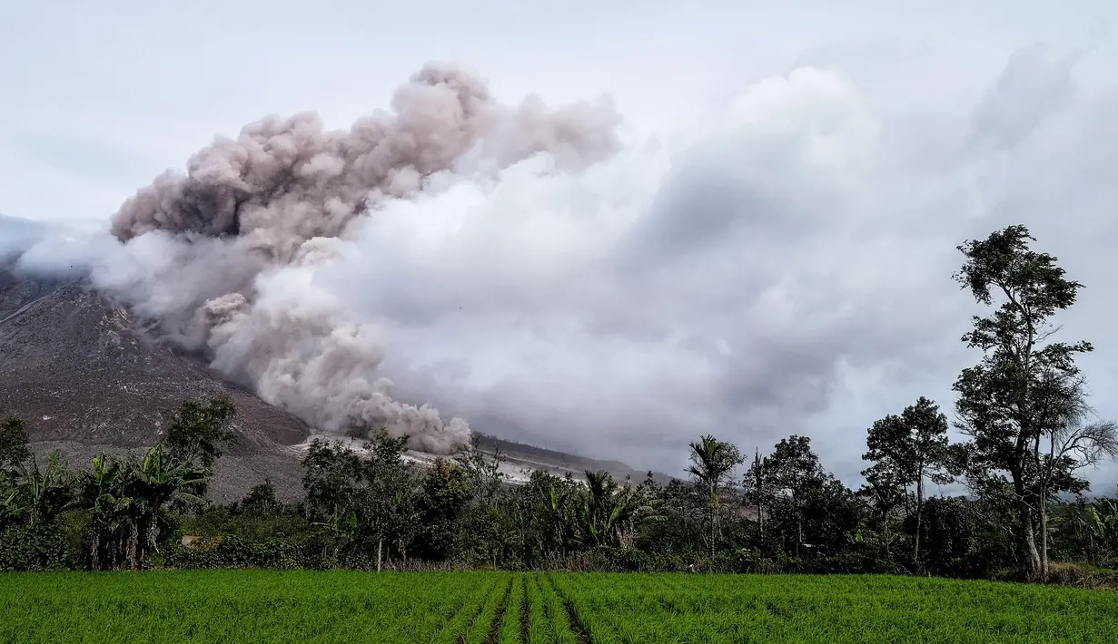 Suasana di dekat kawasan Gunung Sinabung yang kembali mengalami erupsi, Karo, Sumatera Utara (1/11). Letusan Gunung Sinabung berikutnya terjadi pada 2013 dan hingga saat ini kerap kali mengalami erupsi. (AFP Photo/Satar Ginting)